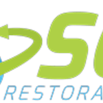 Avatar of user Sosrestoration NY