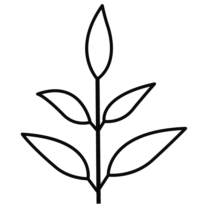 Go to LIVEKINDLY CO's profile