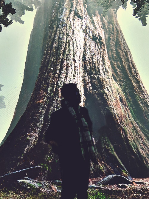 Go to Jansen Yang's profile