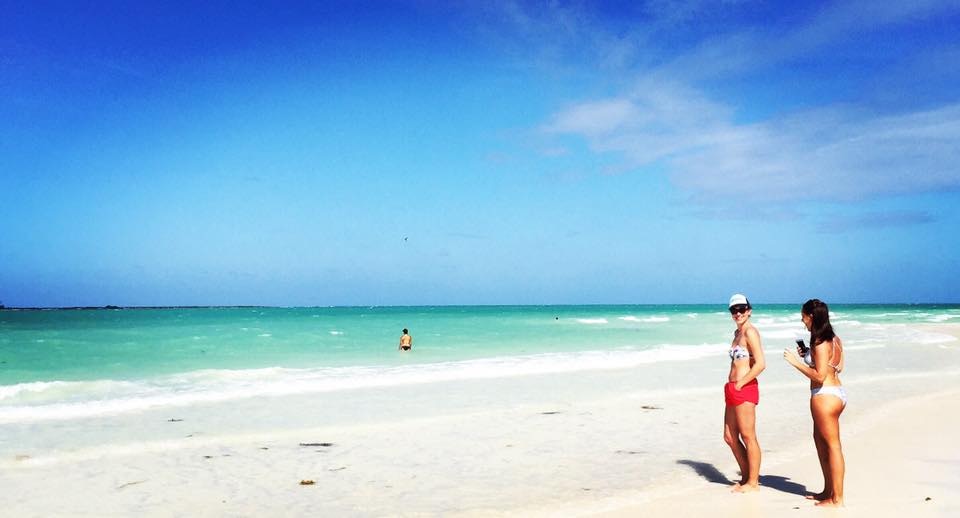 Go to Anna Mircea's profile