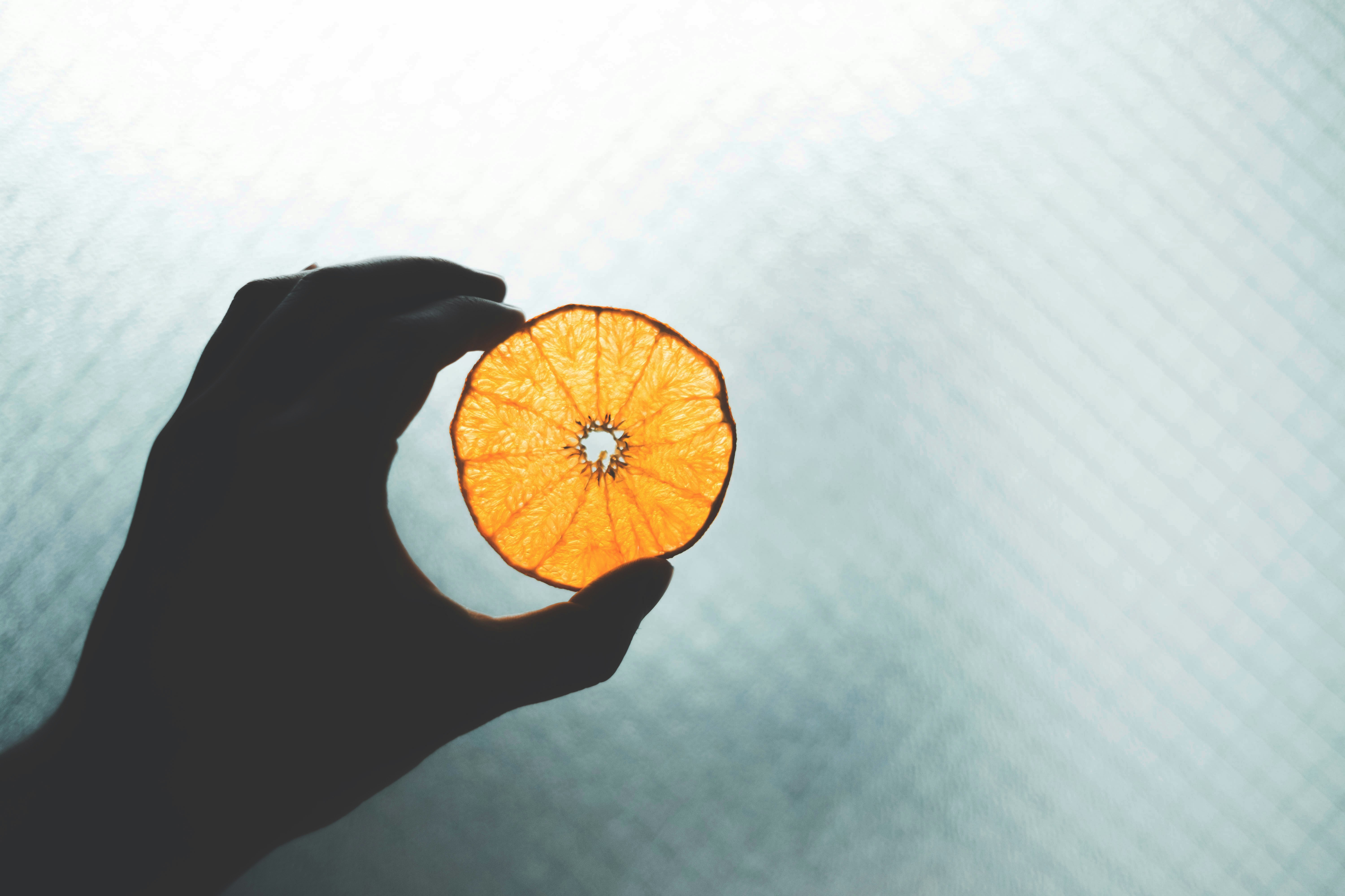 nichiiro의 프로필로 이동