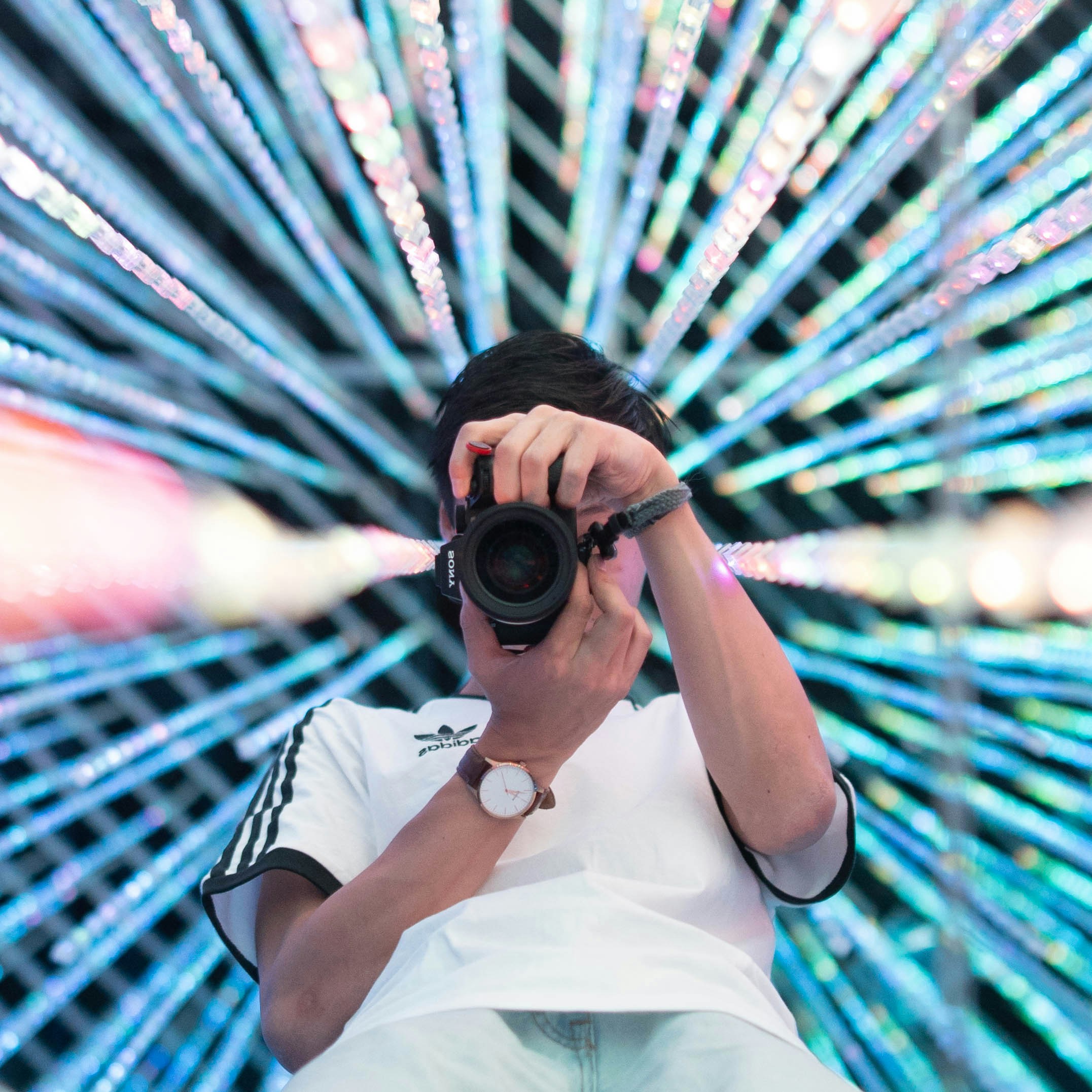 Unsplash profile picture for @pigs