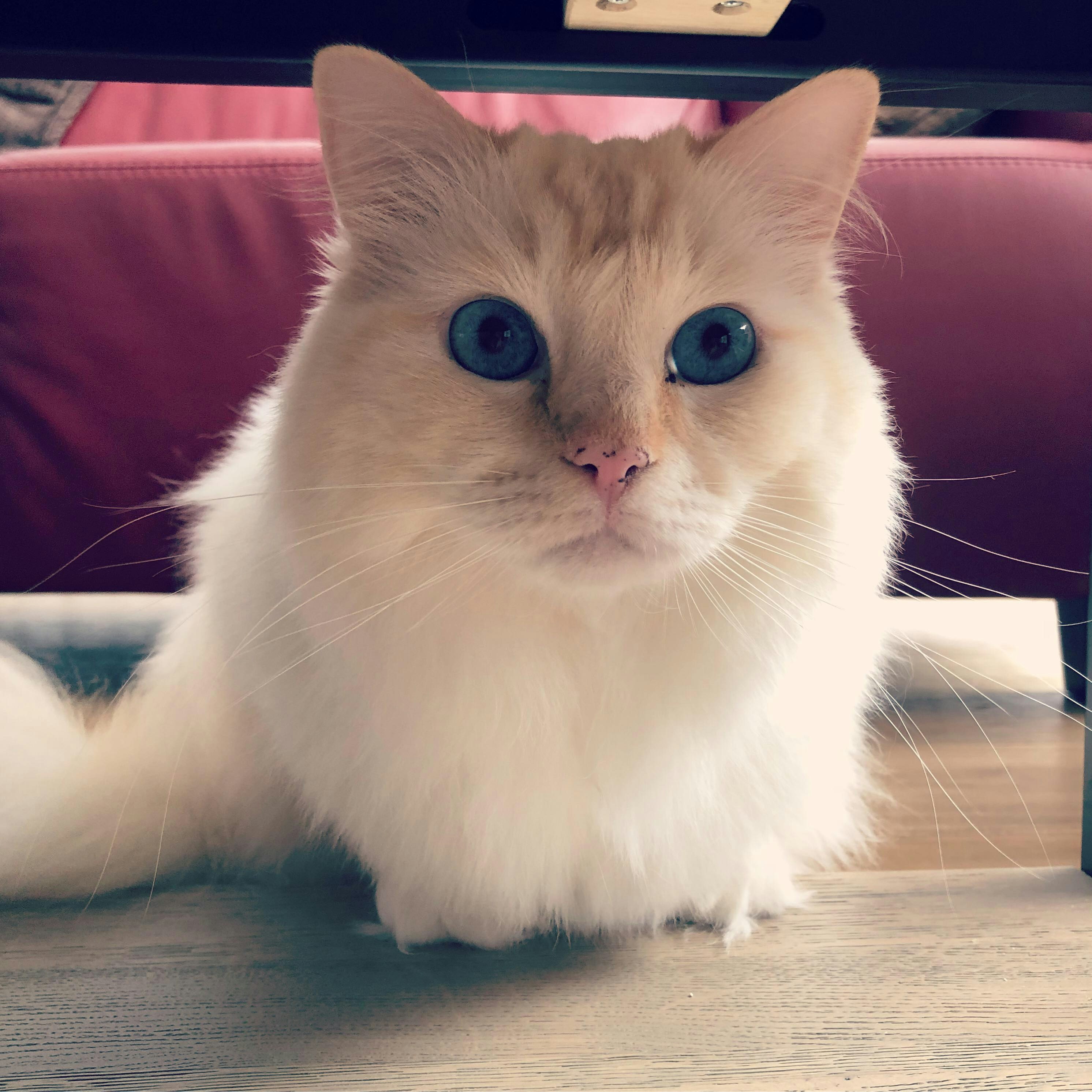 Go to larissa dupont's profile