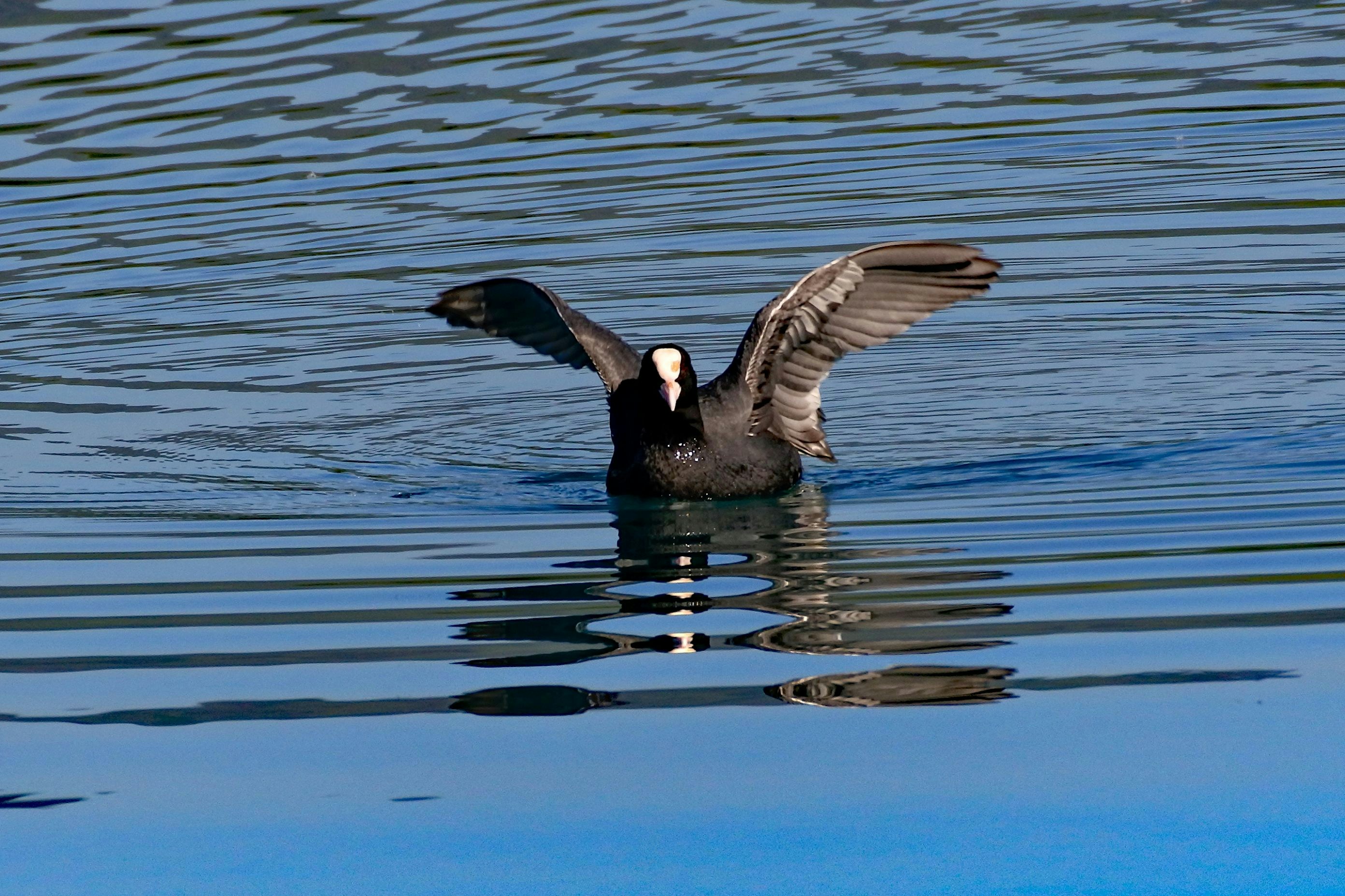 Go to Walter Sturn's profile