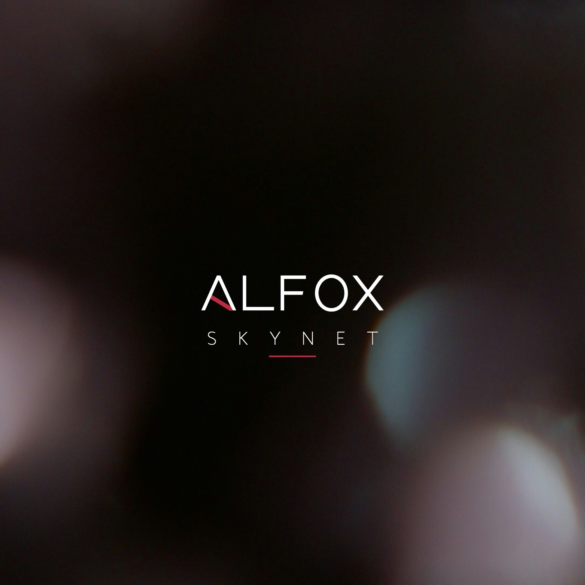 Go to Lucas D.'s profile