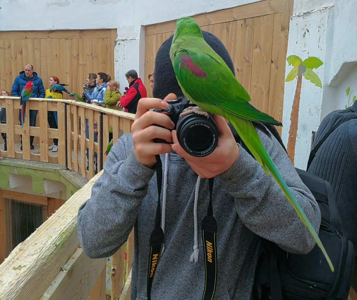 Go to Jarosław Kwoczała's profile