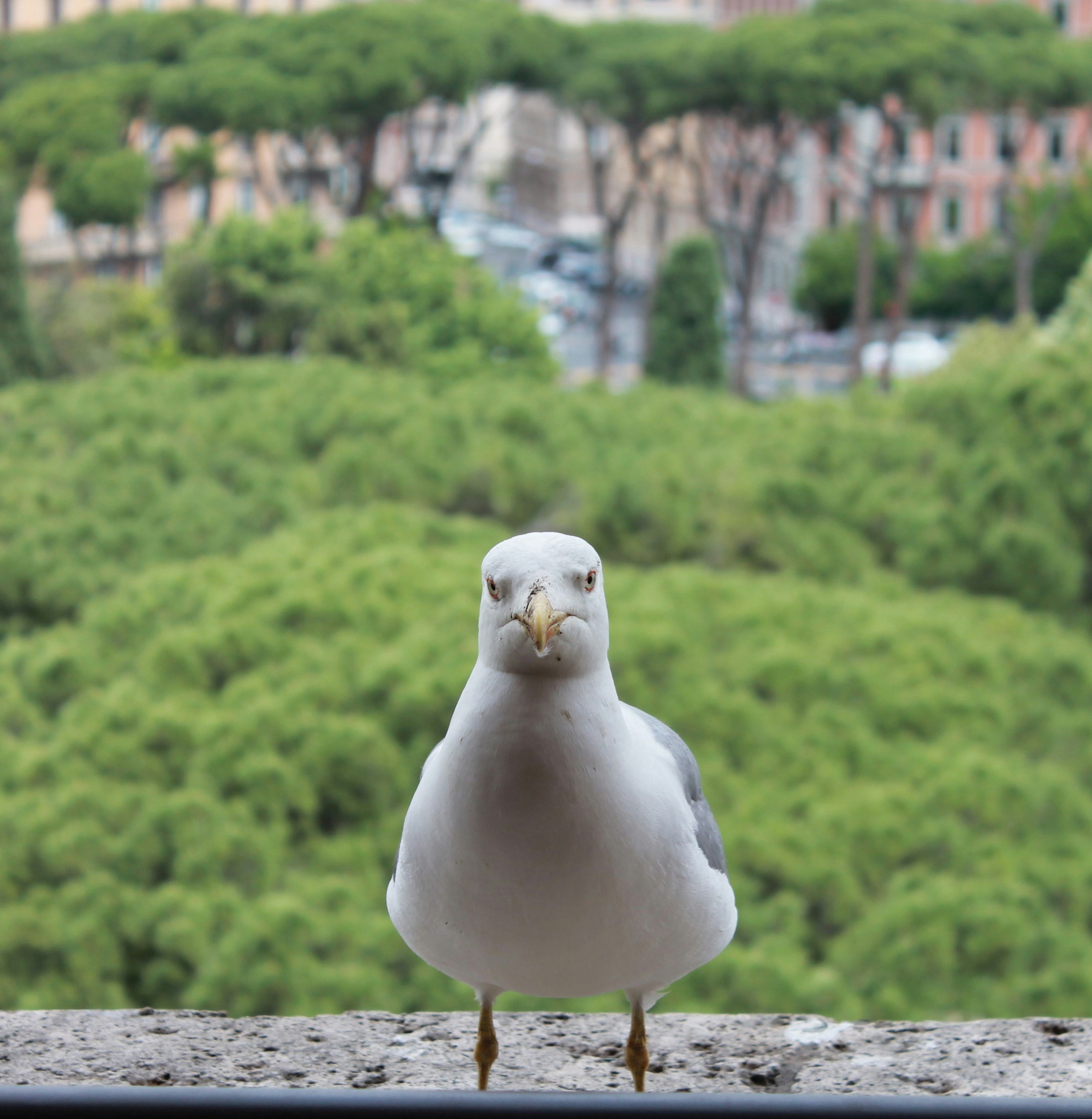 Go to Ajibola's profile