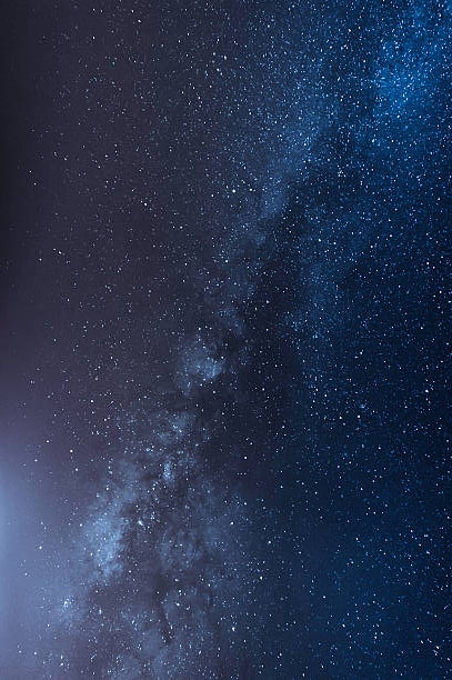 Avatar of user Amie Martin