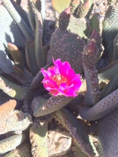 Go to Fum Bally's profile