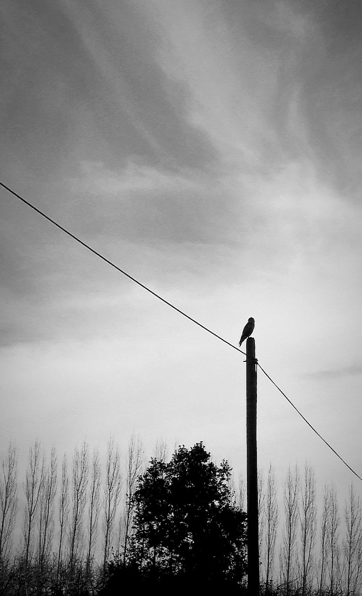 Go to Justine Olivert's profile