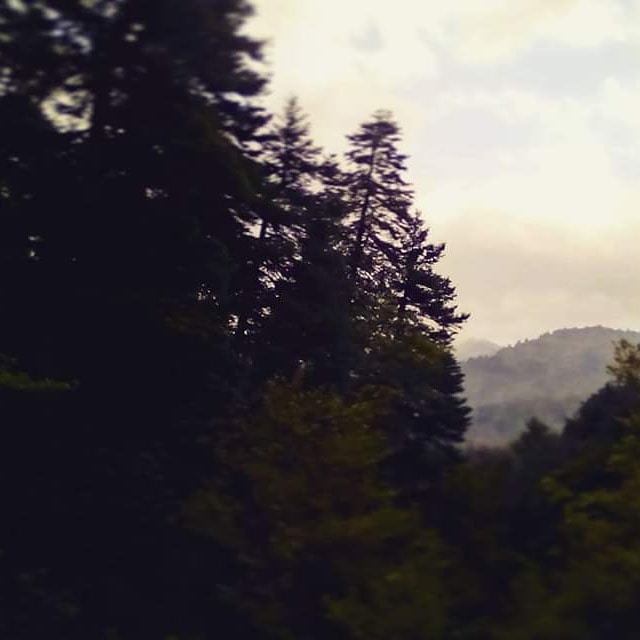 Go to Orfeas Green's profile