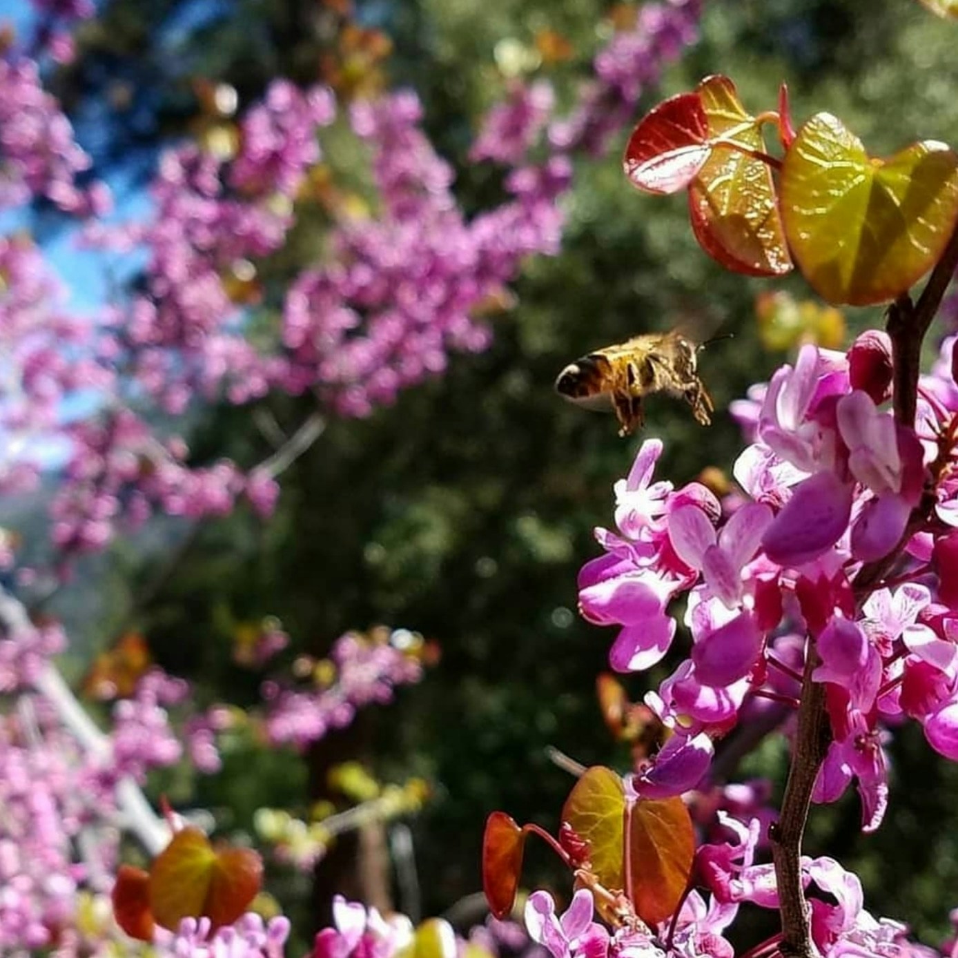 Ve al perfil de Kyle Fritz