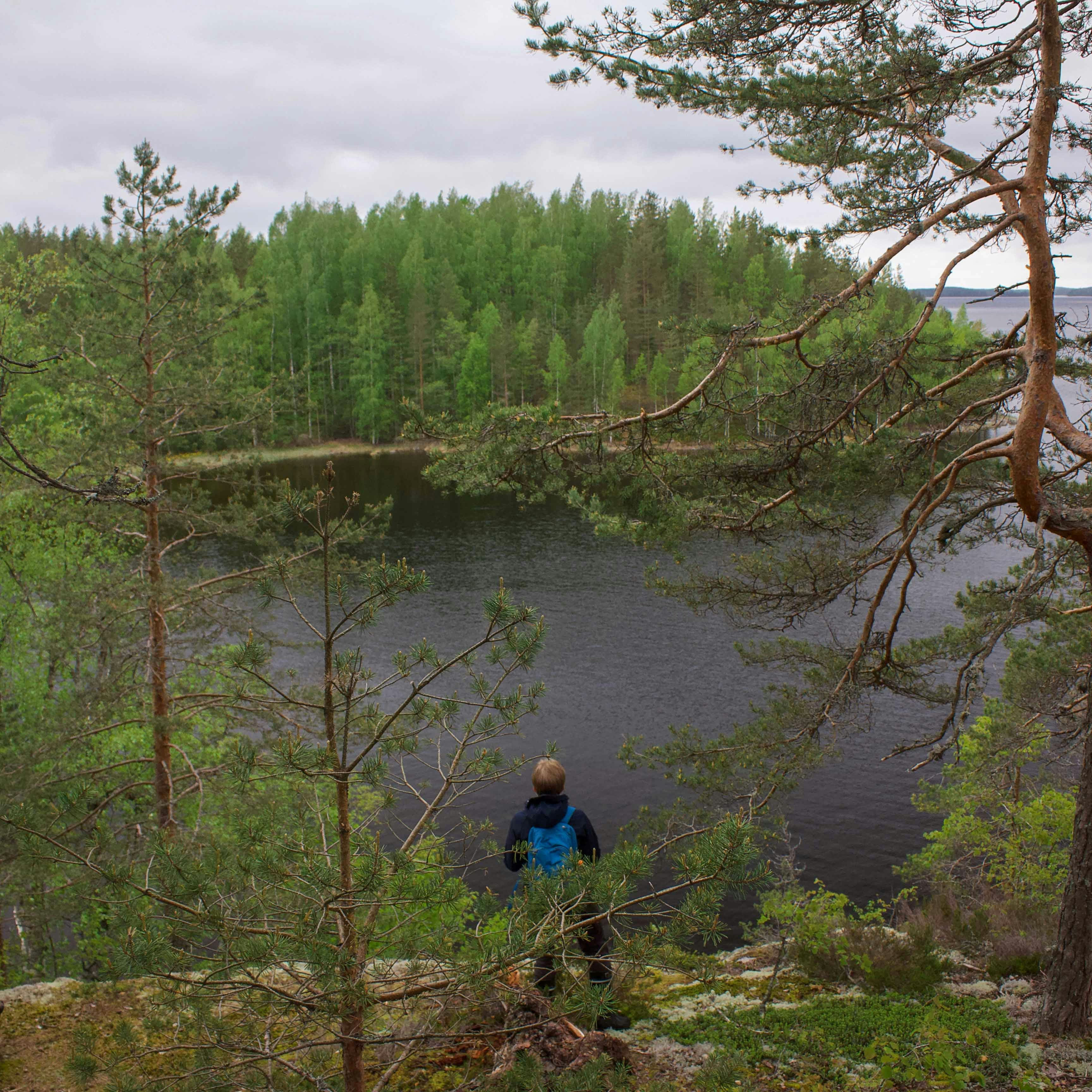 Avatar del usuario Rural Explorer