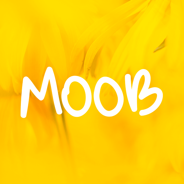 Go to Ayla Verschueren's profile