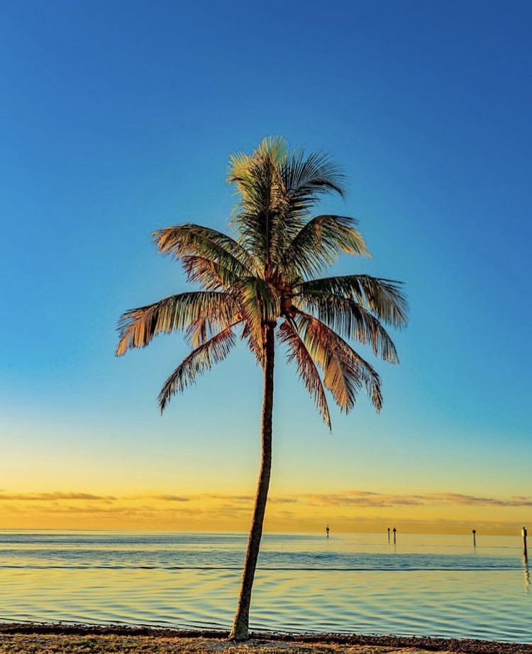 Go to Do mee's profile