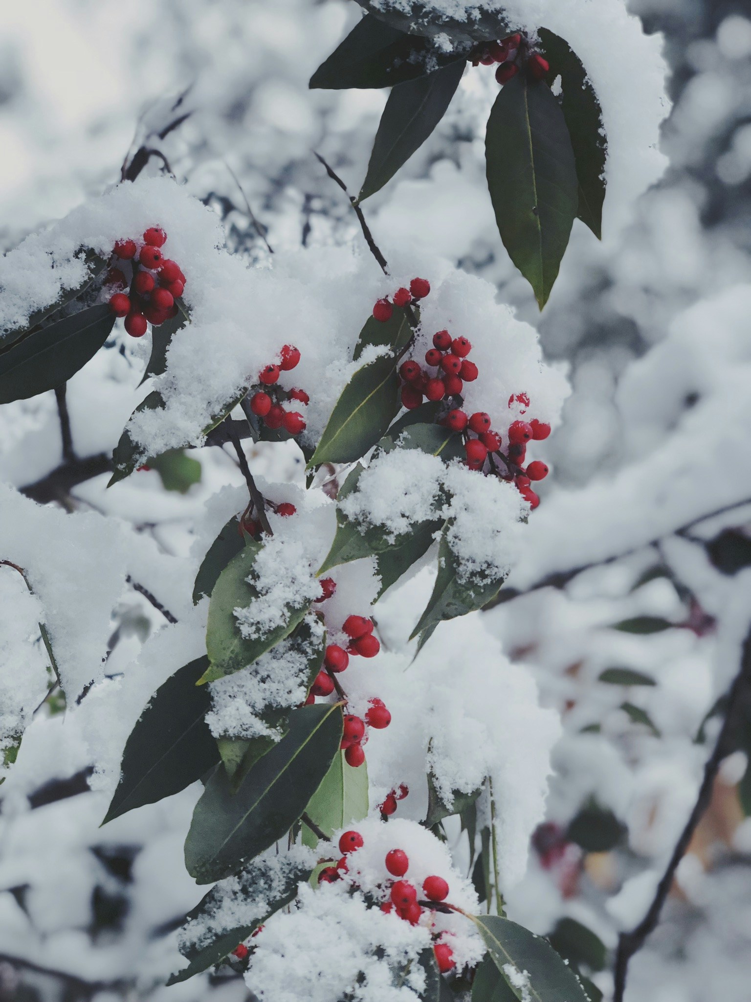 Zum Profil von Bian ye