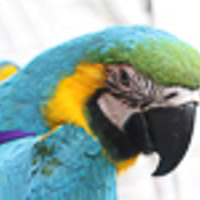 Go to Jan de Boer's profile