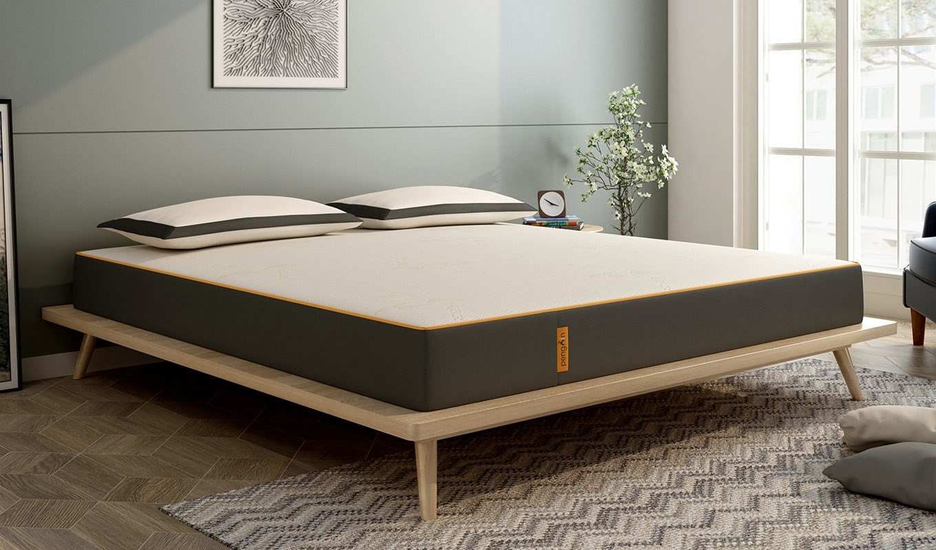 Unsplash profile picture for @mattresses
