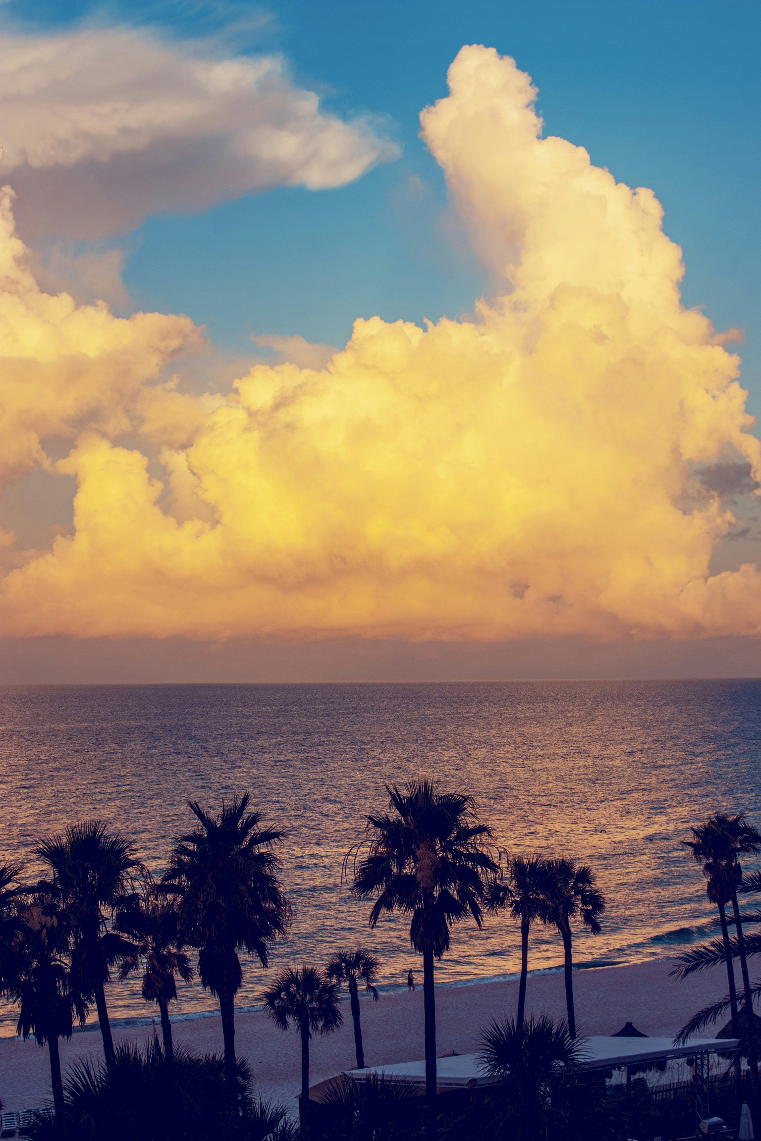 Melinda Martinのプロフィールを見る