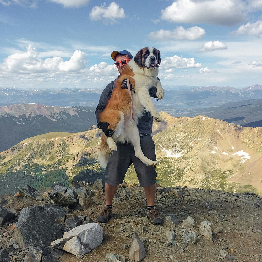 Go to JJ Shev's profile