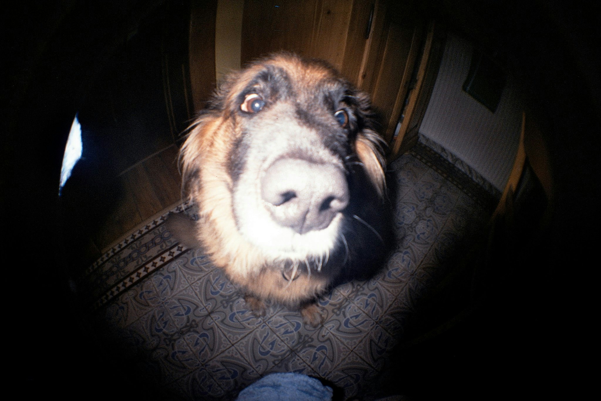 Go to Marie François's profile