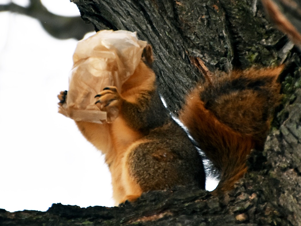 Avatar of user Tricia Galvin