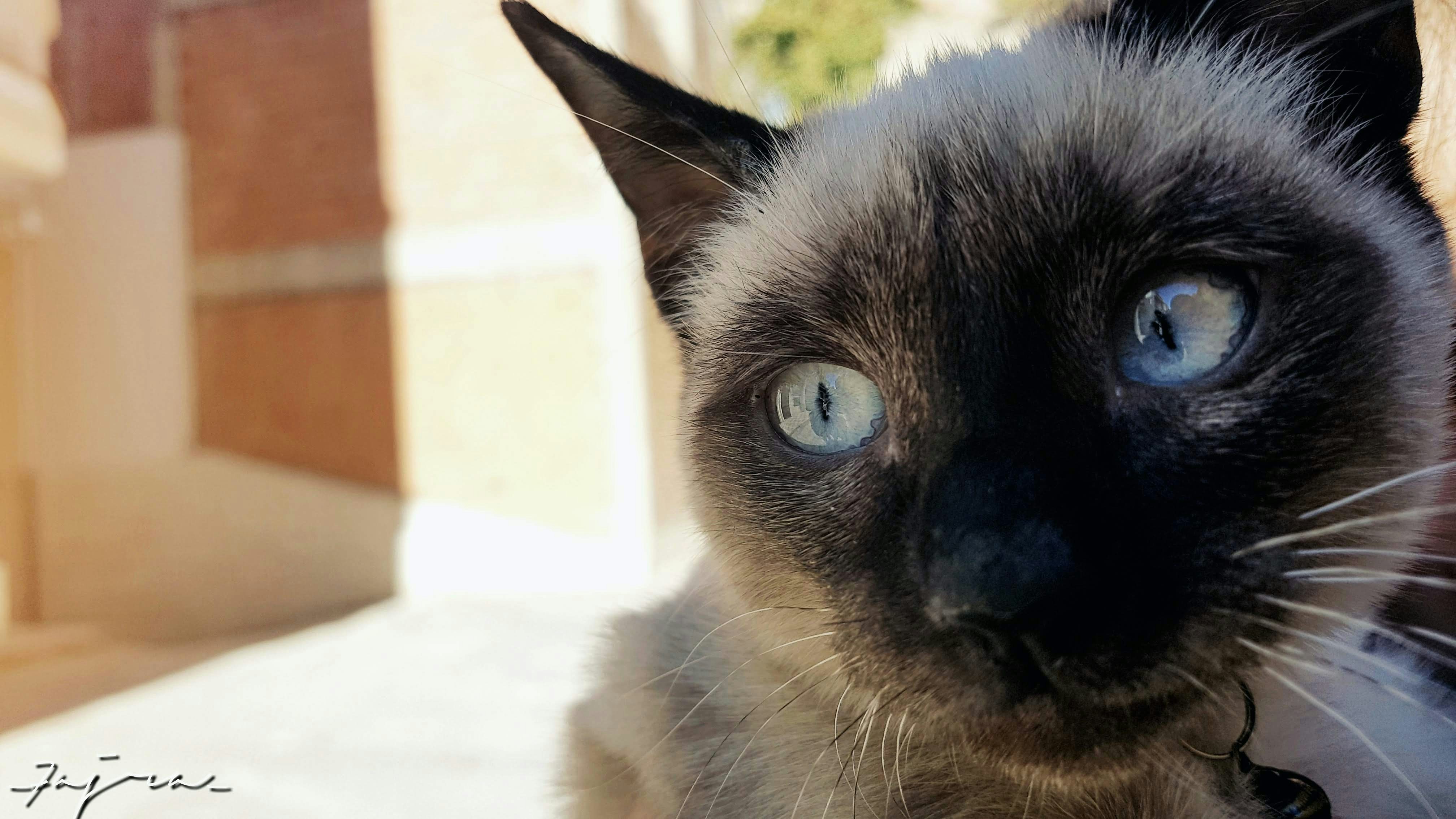 Go to rihab kaci's profile