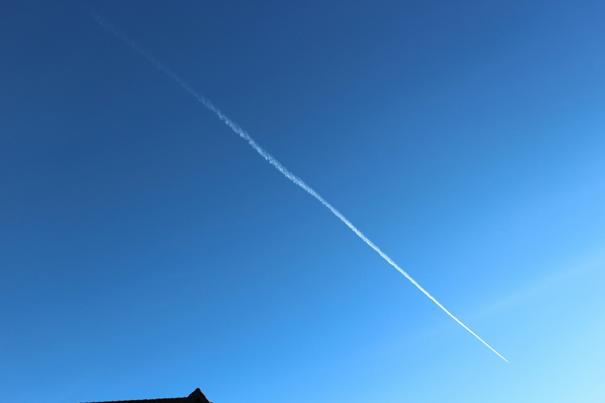 Go to Federico Travaini's profile