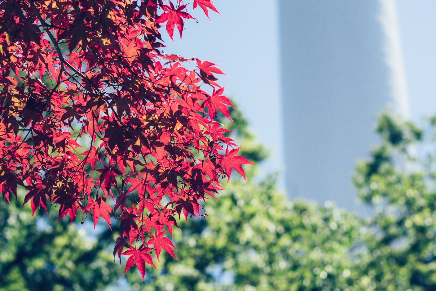 Go to Daniel Park's profile