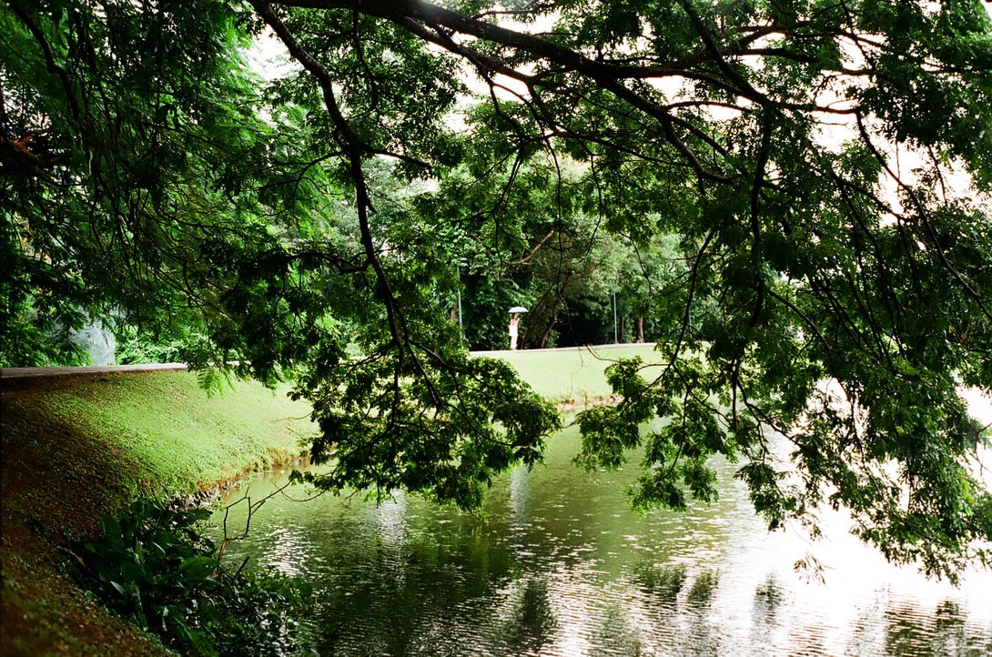 Go to Panjinda's profile