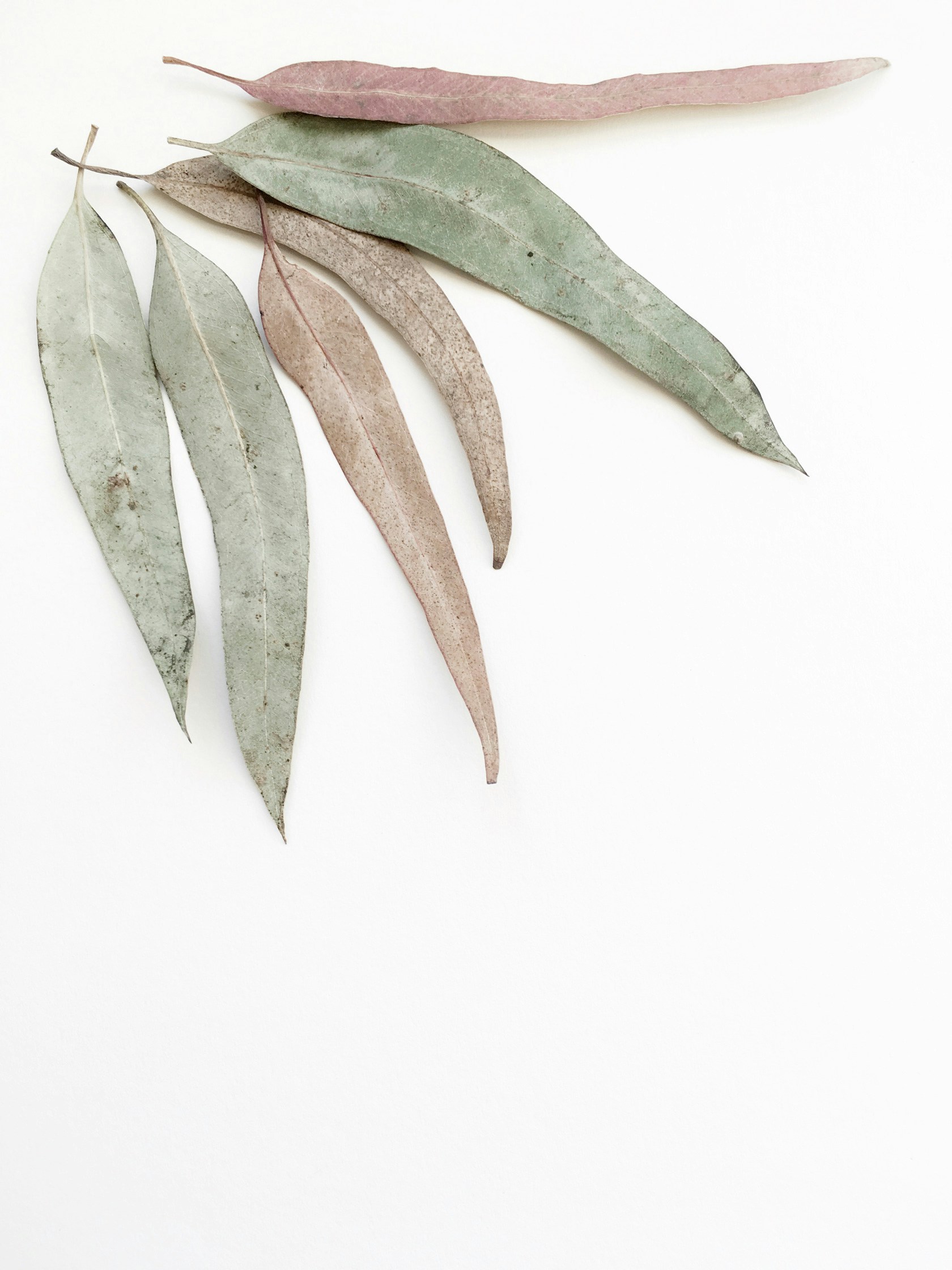 Ve al perfil de Liliana Eira