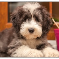 Ve al perfil de Jesus Esteban