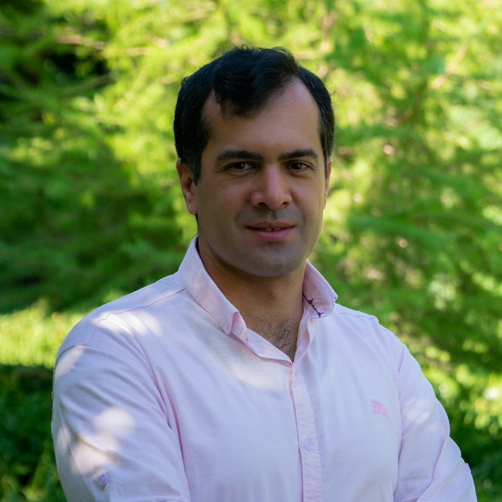 Ir para o perfil de Ali Alavi