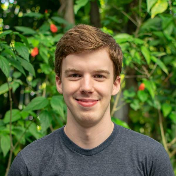 Go to Felipe Vieira's profile