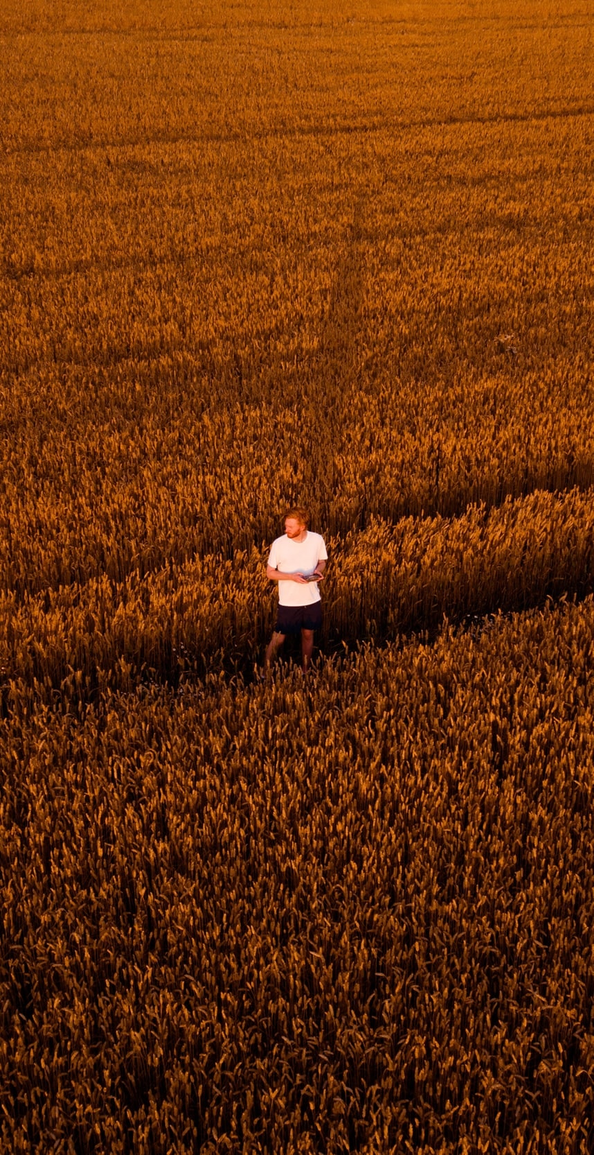 Go to Mathias Bach Laursen's profile