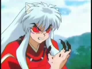 Unsplash profile picture for @inuyasha