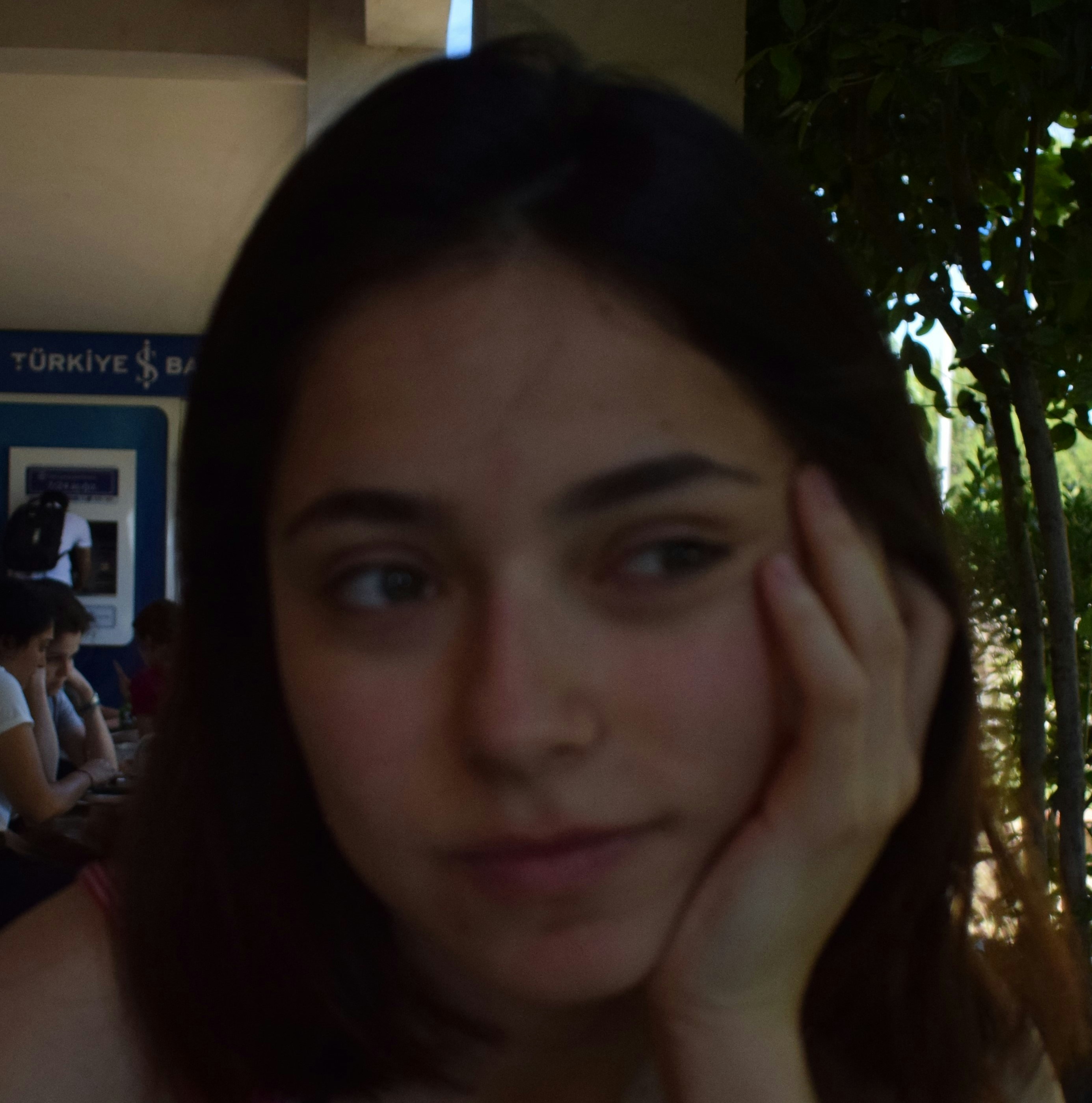 Ir para o perfil de İpek Aydoğdu