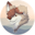 Go to Riffa Fox's profile