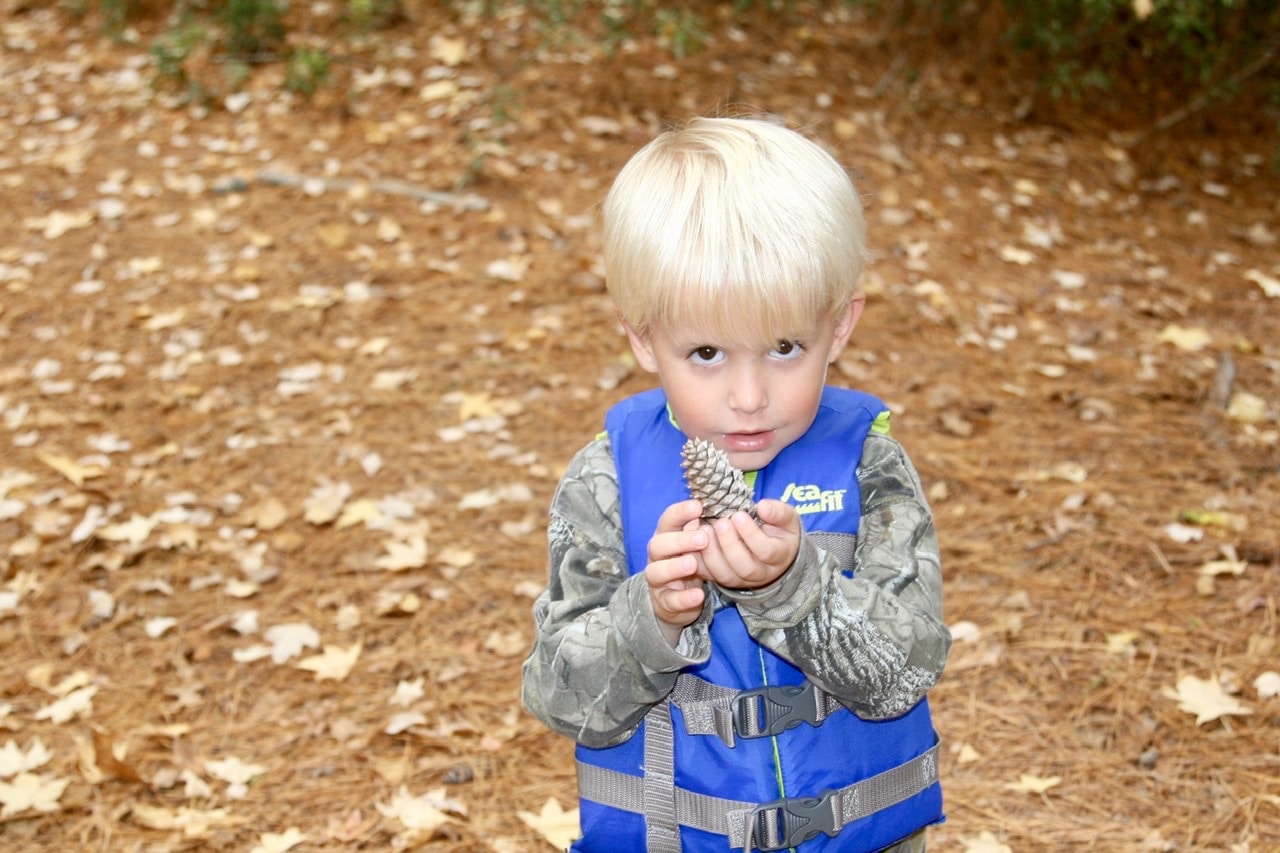 Go to Thomas Owen's profile