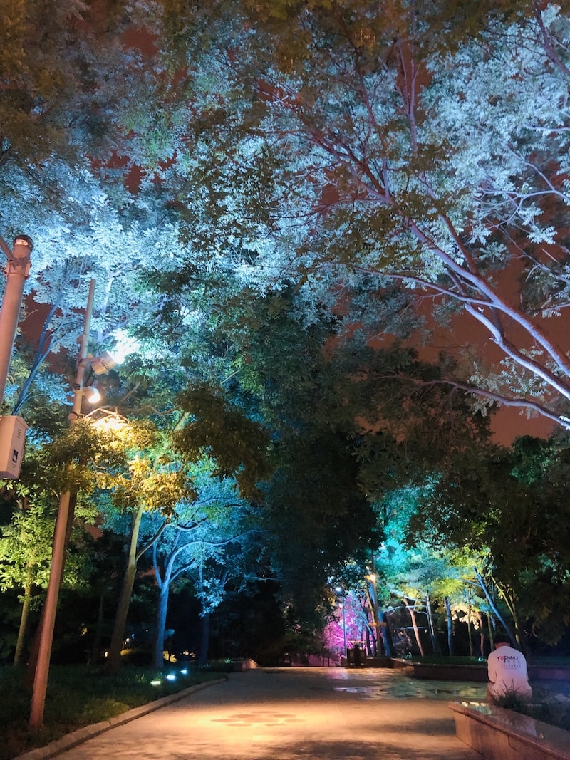 Go to tian feng's profile