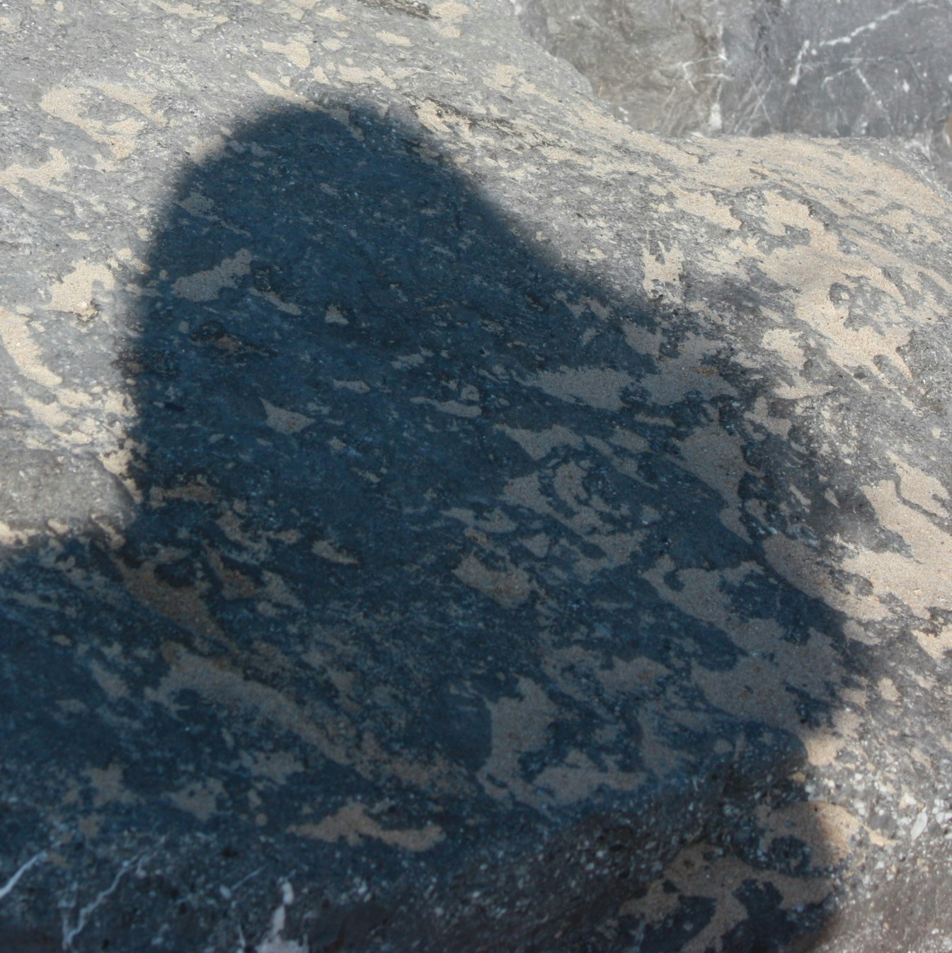 Go to Zoé's profile