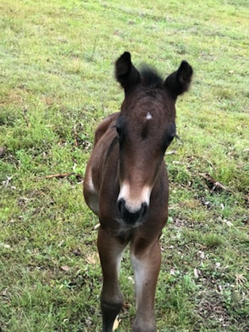 Go to Ellie Cash's profile