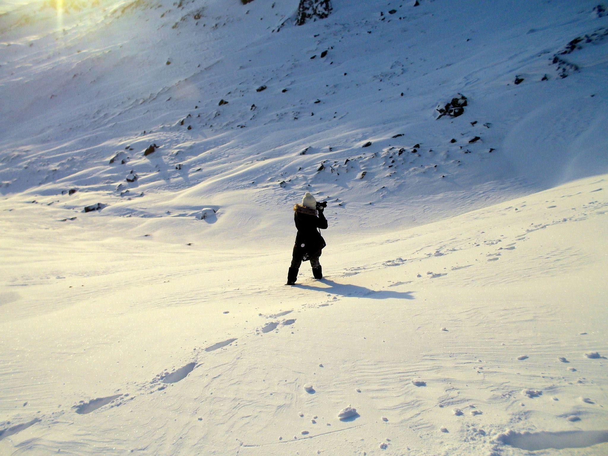 Go to Yanshu Lee's profile