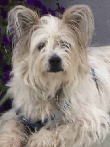 Go to gaynella mckenney's profile