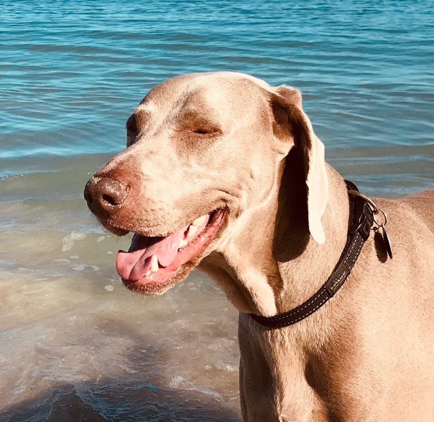 Go to Quinn Fitzpatrick's profile