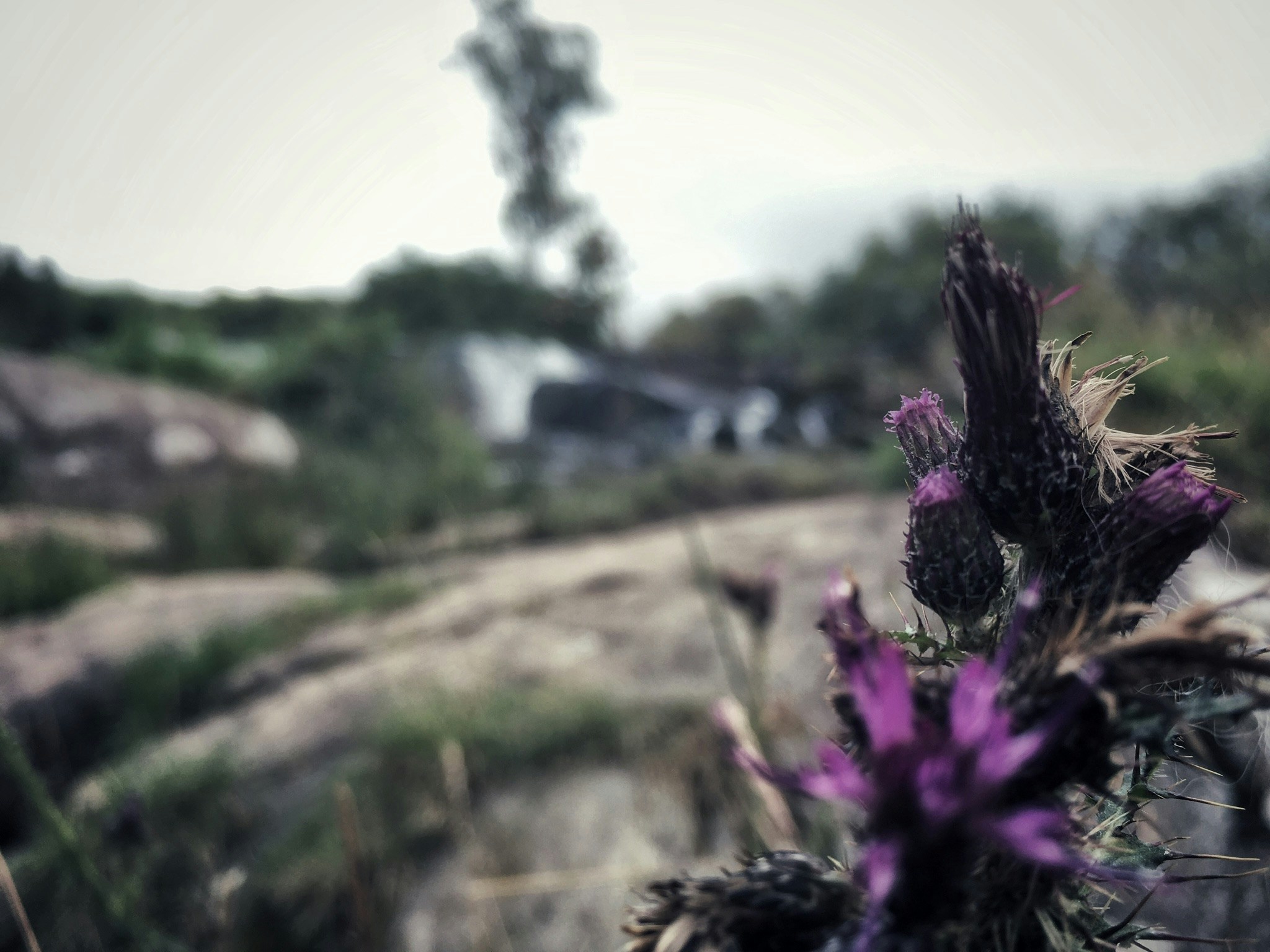 Accéder au profil de Joah Legg