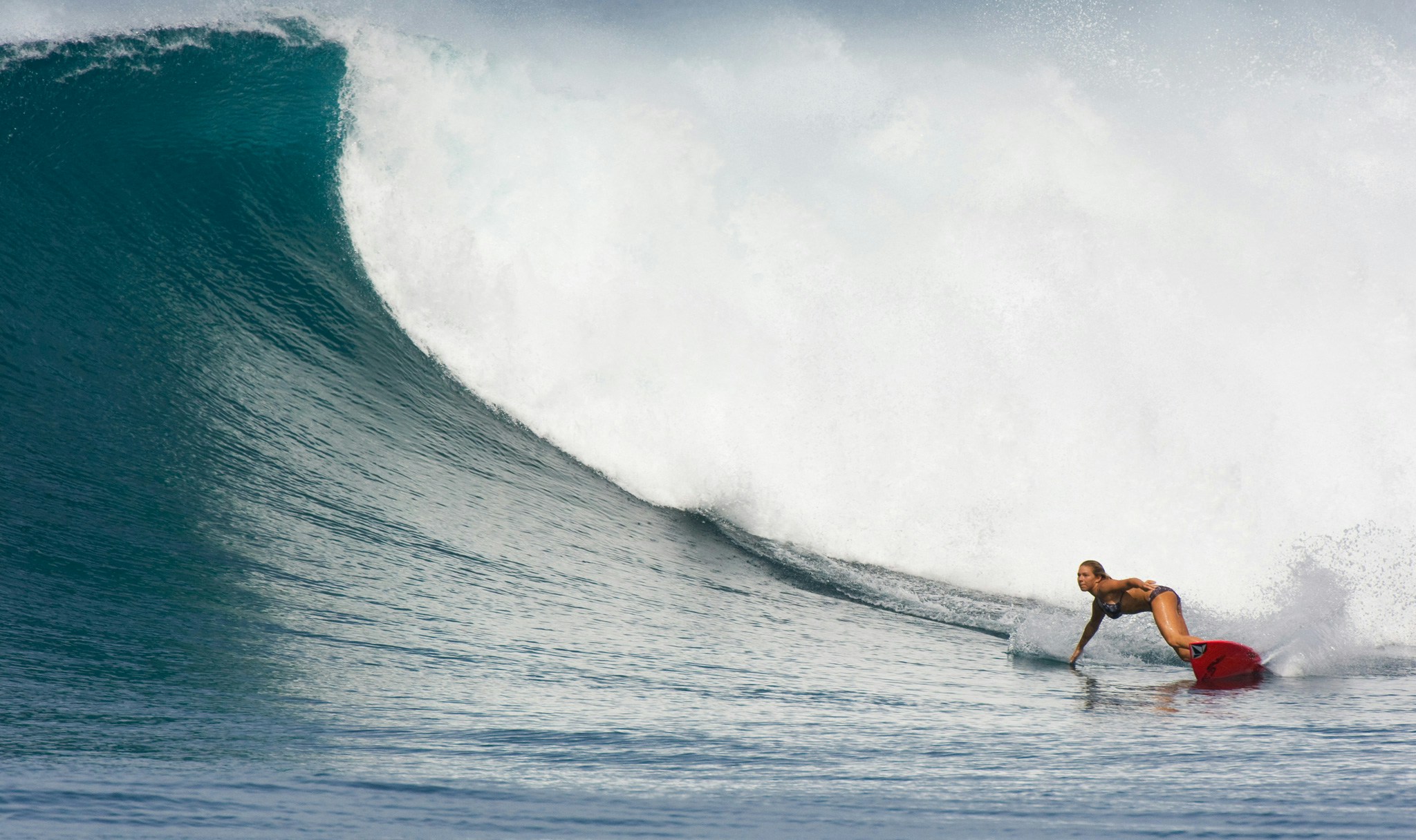 Go to Marine Beaucamp's profile