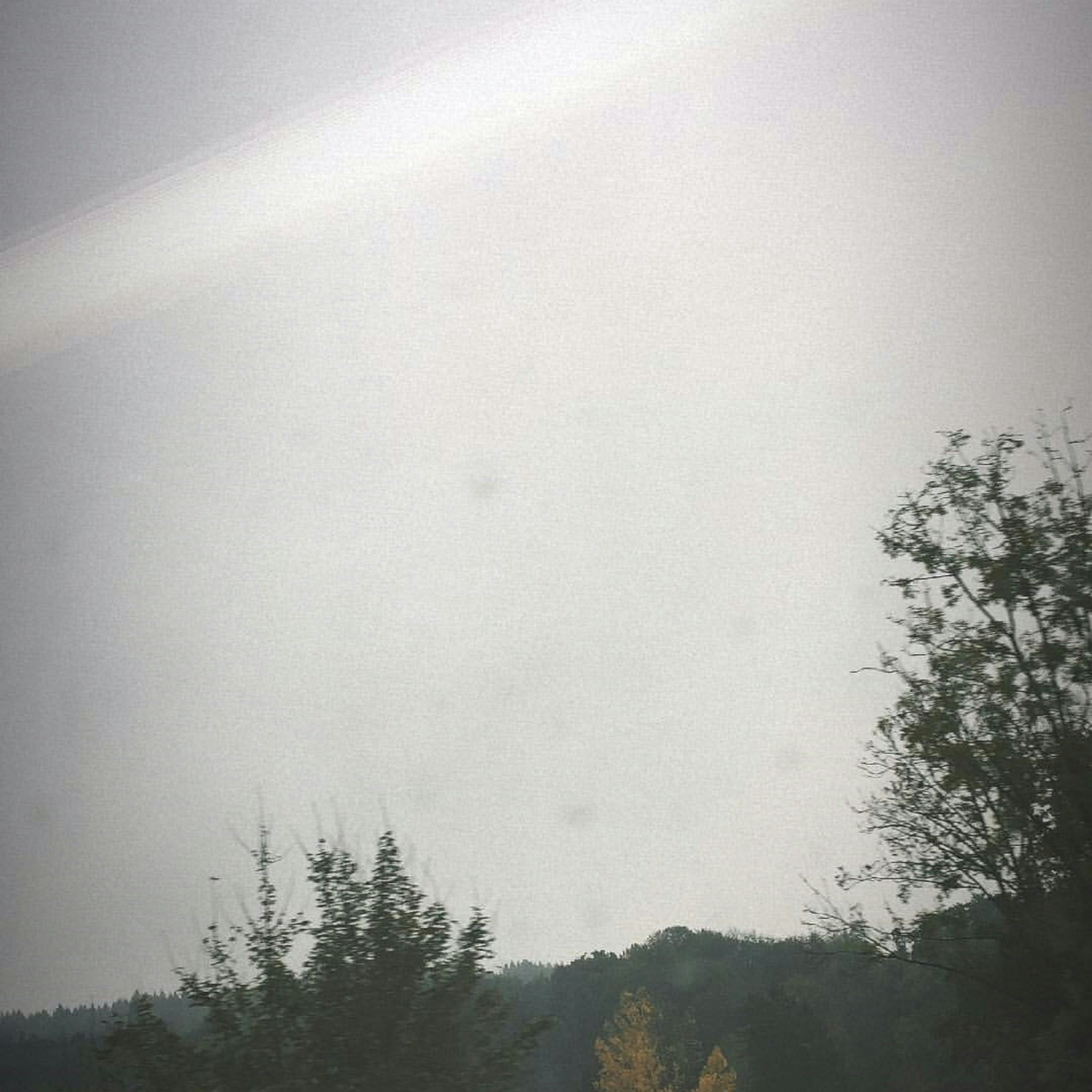 Go to mókki's profile