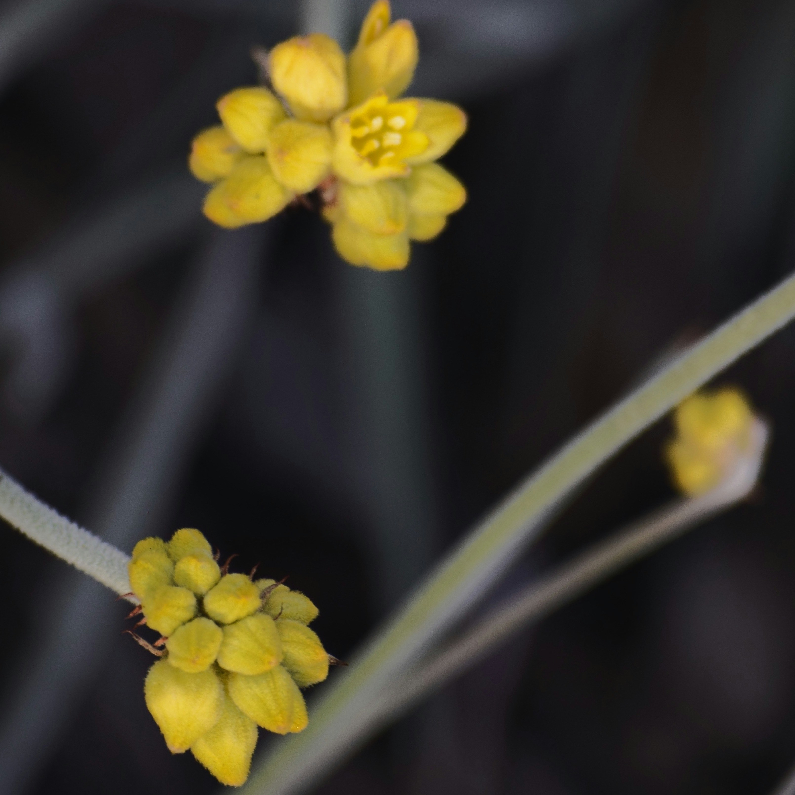 Go to Archer Hadland's profile