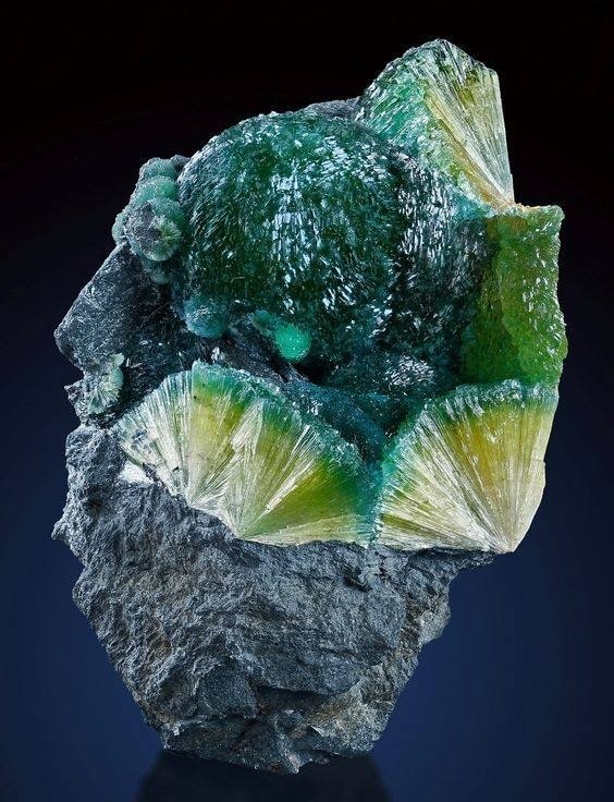 Go to Alfred Coma's profile